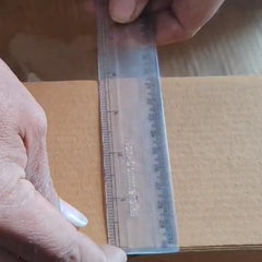 Plastic Portable Transparent Toothbrush Holder (Pack of 2)