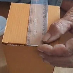 Plastic Portable Transparent Toothbrush Holder (Pack of 2)