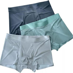 Men's Ice Silk Briefs Boxers (Pack of 4)